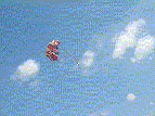 parasailing.gif